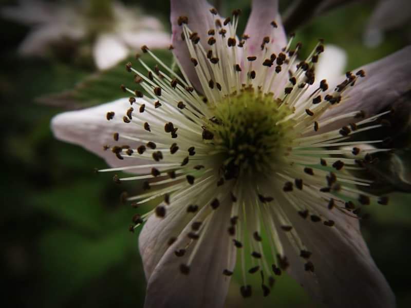 FB_IMG_1464074456778