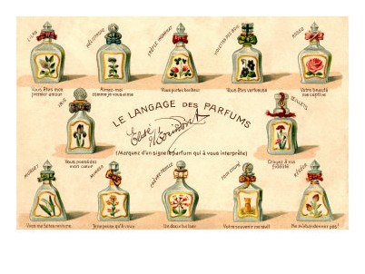 langage-des-parfums-n-4145606-0