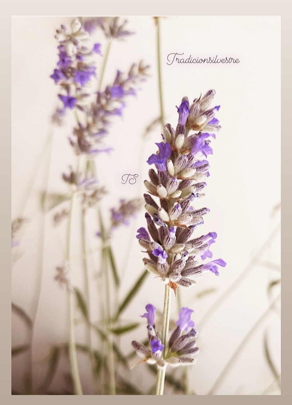 Screenshot_20220708-081712_Instagram