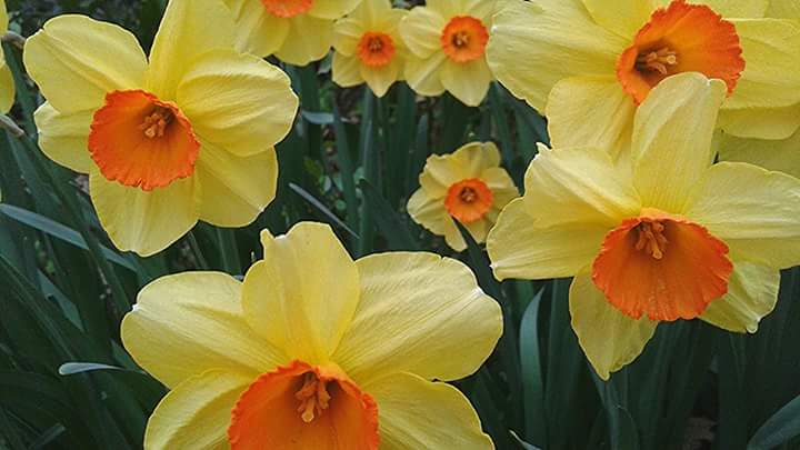 FB_IMG_1471618072717