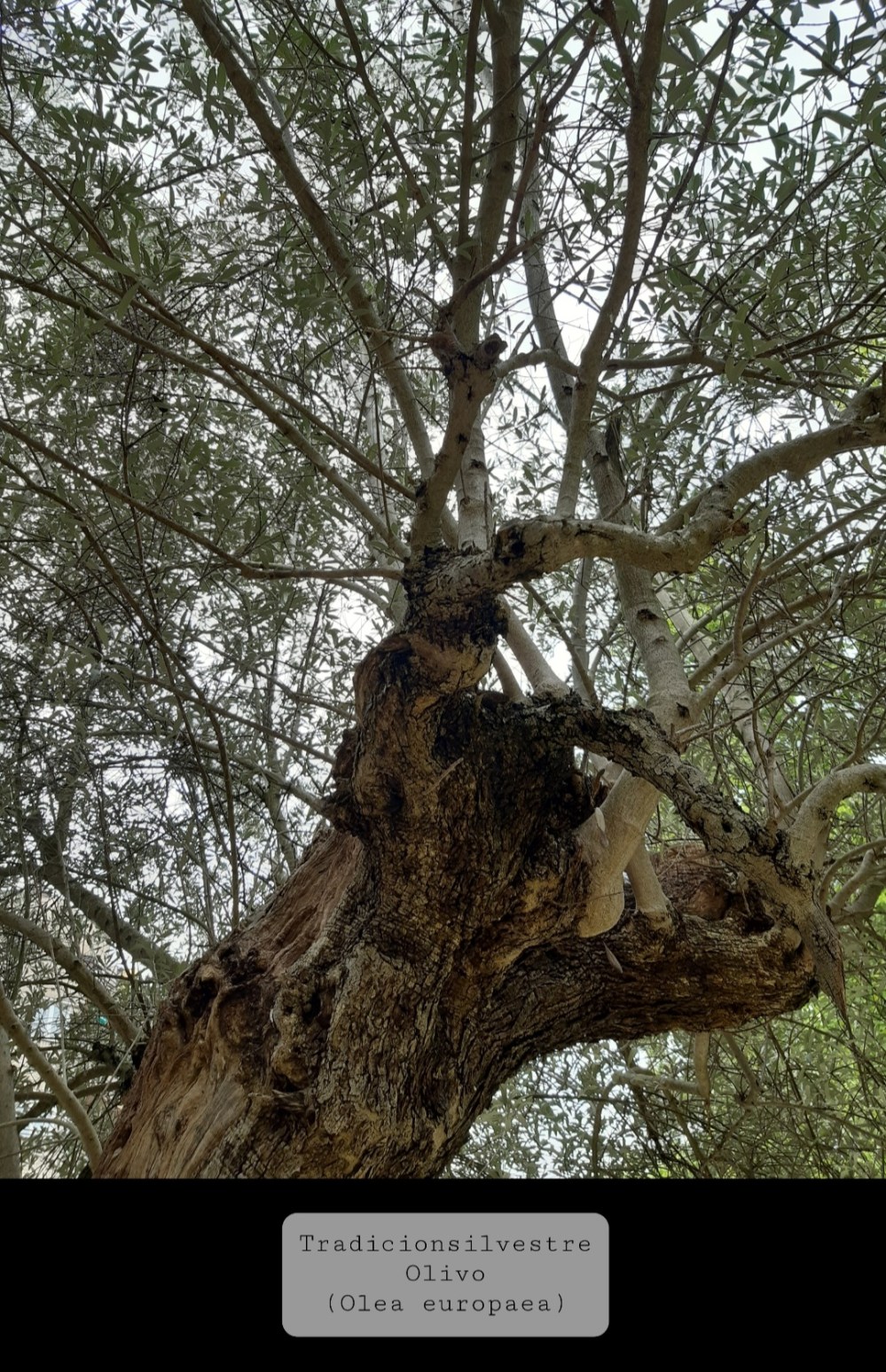 Screenshot_20210903-154710_Gallery