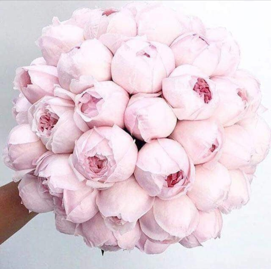 Screenshot_20211210-081857_Photos