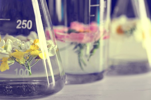 shutterstock_450408844