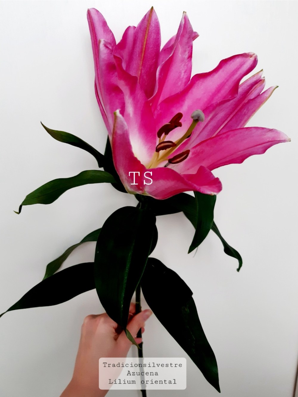 Screenshot_20220315-084522_Gallery